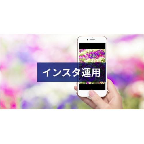 インスタグラム運用：初期構築１０万円税別＋（運用1年契約×３.5万円税別）