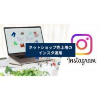 IT導入補助金でTikTok運用とYou Tubeショート運用を申請しませんか？