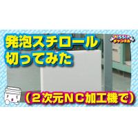 シボ加工された面白発泡プラスチック商品輸入してみた【発泡スチロール】