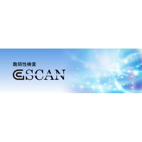 gSCAN:Webサイト脆弱性診断サービス 【クラウド】【安価】