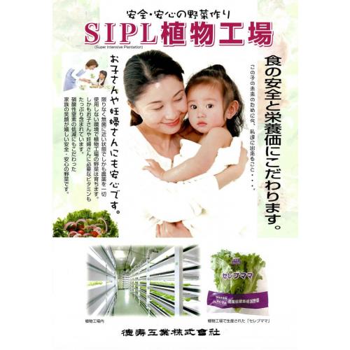 安全・安心の野菜作り「SIPL植物工場」
