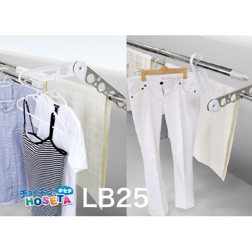 サオ・アップ(LB25)