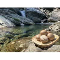 『シャンピニオール』～高知県産ブラウンマッシュルーム～