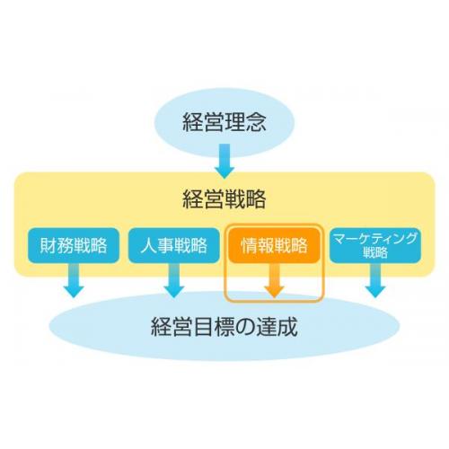 情報戦略コンサルティング