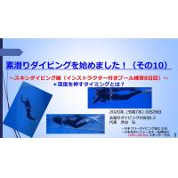 7分ー素潜りダイビングを始めました10 ~スキンダイビング編(プール練習8日目)