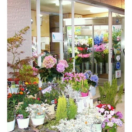 千葉県流山市のお花屋さん