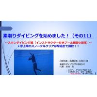 7分ー素潜りダイビングを始めました10 ~スキンダイビング編(プール練習8日目)