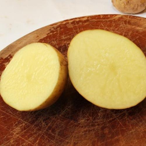 こだわり商品!野田さんのじゃがいも(長崎産)