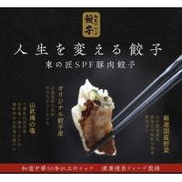 人生を変える餃子® 和匠づつみ®東の匠SPF豚肉餃子
