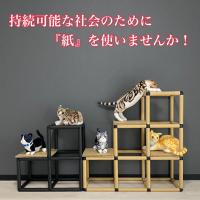 キャットステップ（キャットタワー）