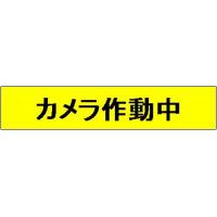 オフィス内、飲食店内にどうですか？