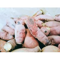 鹿児島県鹿屋市認証 サツマイモ『紅はるか』 冷凍焼き芋