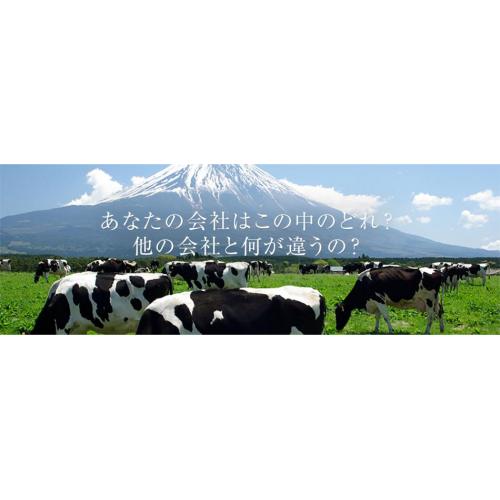 ウェブサイト(ホームページ)制作サービス