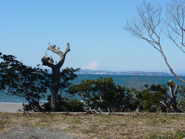 千葉県富津市で海の見えるリゾート別荘・別荘地（その１）