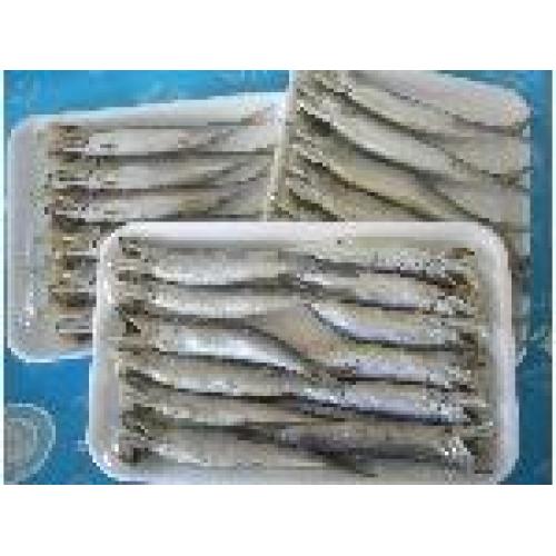 甘塩・イワシの丸干し