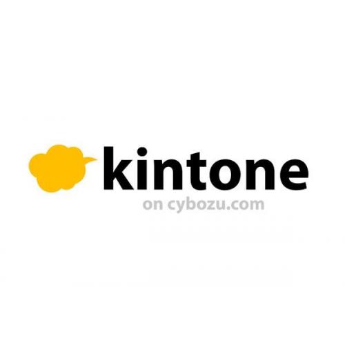 kintoneカスタマイズ/導入支援