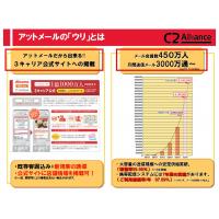 【WIMAX】　DIS mobile WIMAX　代理店販売