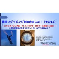 8分ー素潜りダイビングを始めました13 ~スキンダイビング編(プール練習11日目