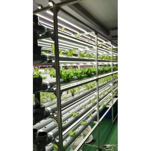 水耕栽培植物育成用LEDライト、水中ポンプと新品水耕栽培器材・備品/教育用キット