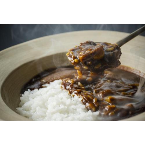 佐賀牛すじカレー