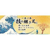 愛知県長久手市で「剪定・伐採」が得意な庭師です。