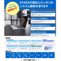 限定10社　社内システム開発　9,999円