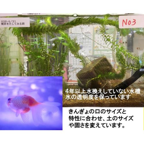 業界初！１～4年水換え不要！金魚水槽用底土「きんぎょドン」