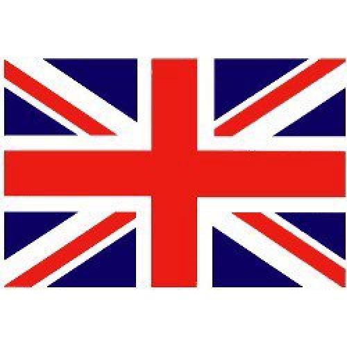 英語、英会話(講師派遣、翻訳、通訳、オンラインレッスン、語学教室など)