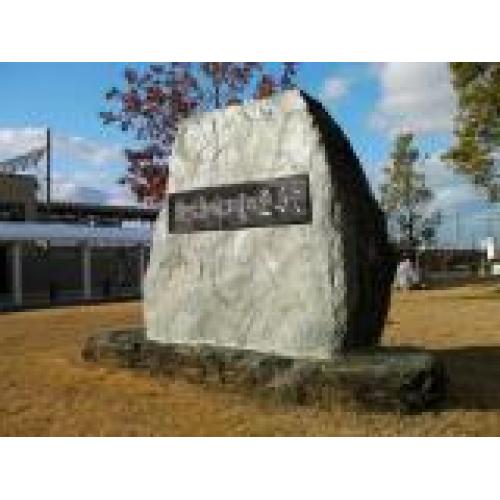 広川青石(福岡県産)