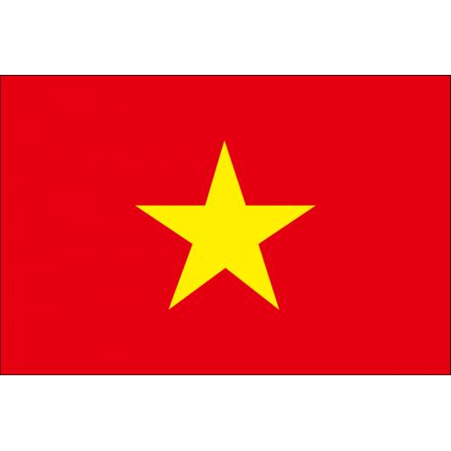 ベトナム語（講師派遣、翻訳、通訳、オンラインレッスン、語学教室など）