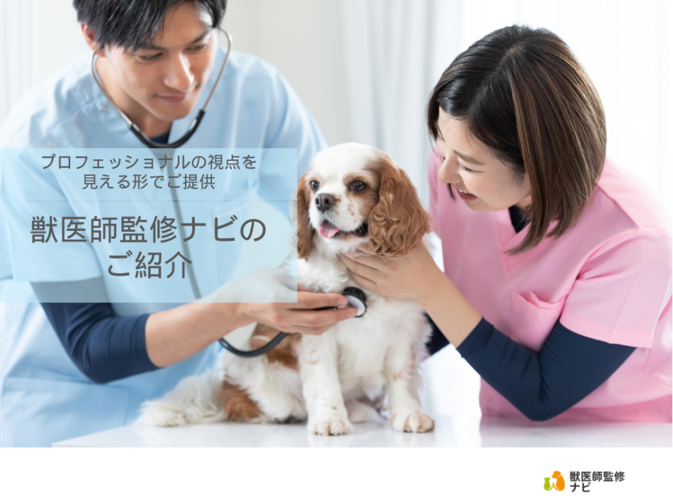 獣医師監修ナビ