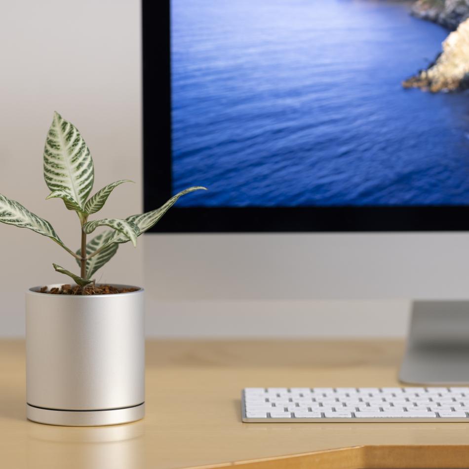 削り出しアルミ製デスクトップ・プランター（シルバー・グレー・ブラック）