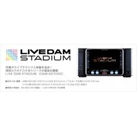 ◆ Cyber DAM HD （DAM-G100X） ◆