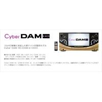 ◆ Cyber DAM HD （DAM-G100X） ◆