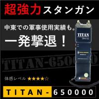 スタンガン TITAN-GB8 タイタン スタンマスター【護身・防犯】